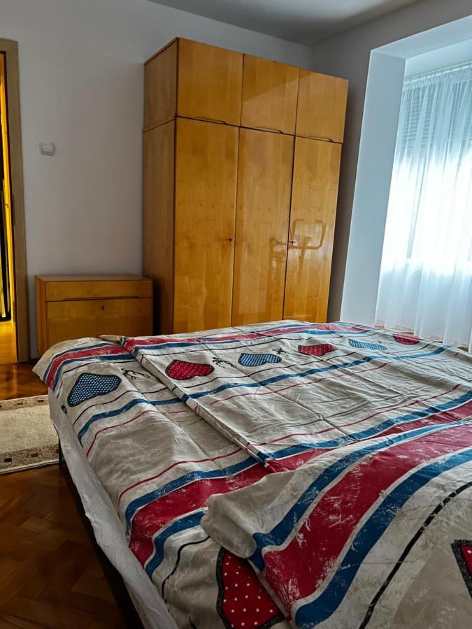 טימישוארה Noreea Central Apartment מראה חיצוני תמונה