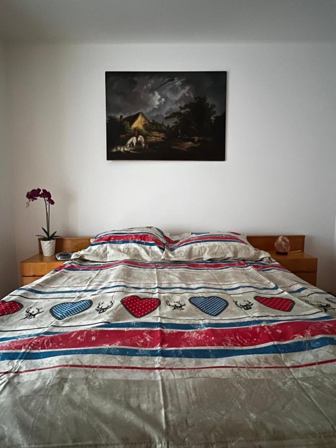 טימישוארה Noreea Central Apartment מראה חיצוני תמונה