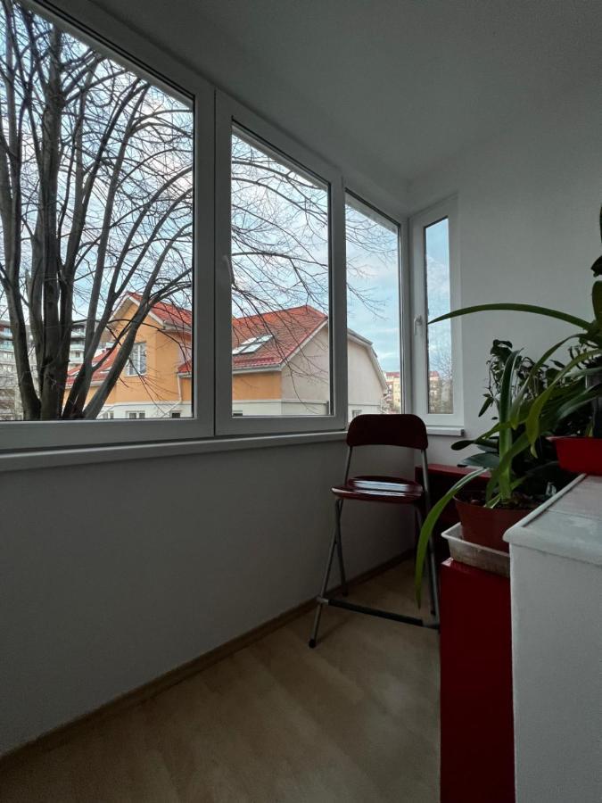 טימישוארה Noreea Central Apartment מראה חיצוני תמונה