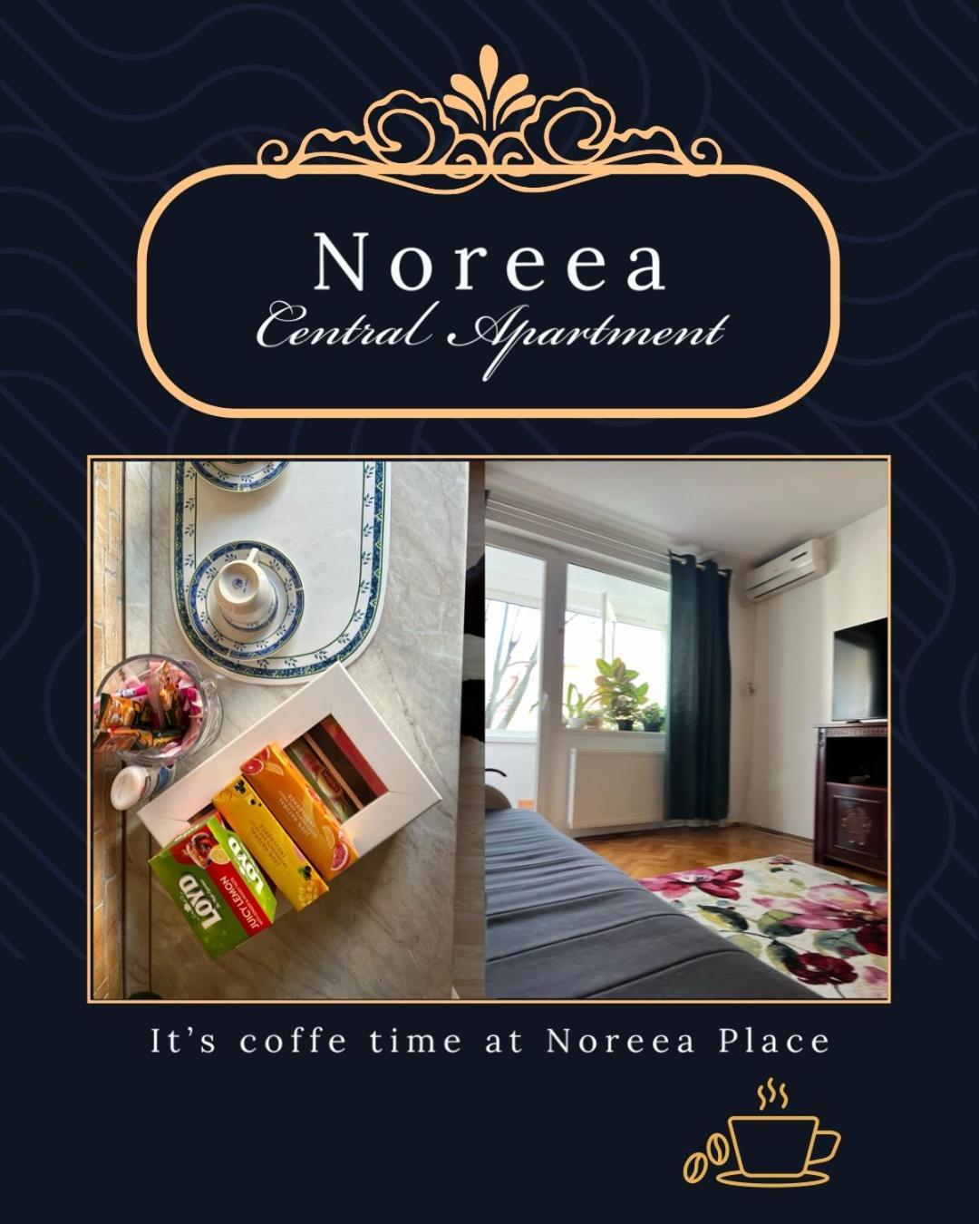 טימישוארה Noreea Central Apartment מראה חיצוני תמונה